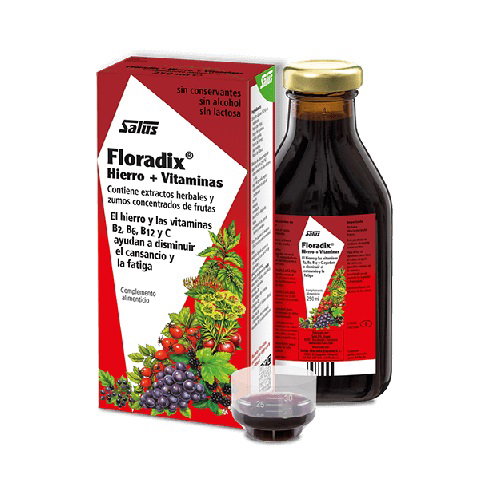 Floradix Líquido 250 Ml Floradix Líquido 250 Ml