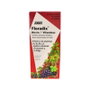 SALUS FLORADIX Fer 250 ml