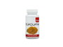 PLANTIS CURCUMA plantis 60 capsules