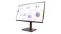 Lenovo ThinkVision T32p-30 31,5 pouces 4K UHD IPS Raven Black