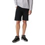 Shorts pour Hommes Columbia Silver Ridge™ Noir L