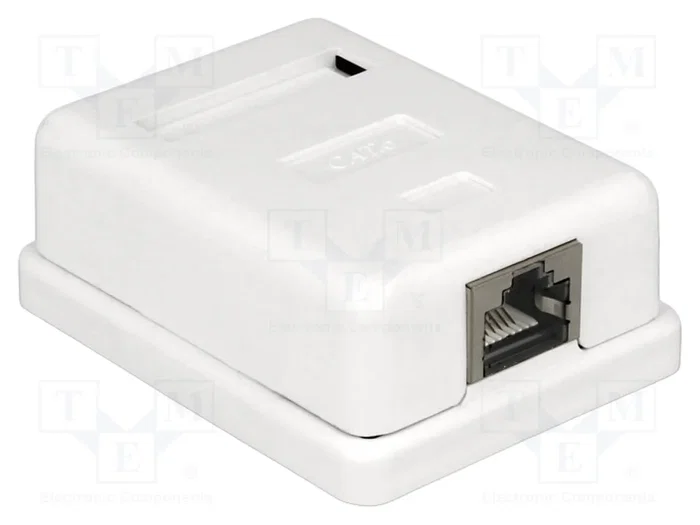 DELOCK Prise murale RJ45 Cat 6 blindée - Blanc DELOCK Prise murale RJ45 Cat 6 blindée - Blanc
