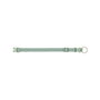 Collier pour Chien Trixie Premium Vert XS/S 22-35 cm