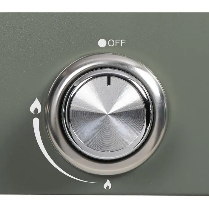 Livoo DOC325 Plancha à Gaz 4 Brûleurs, 10 kW, Plaque Amovible 78.5 x 34.5 cm (Vert/Noir) pour Cuisine Extérieure - 83.5 x 47 x 24 cm