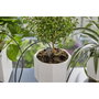 GARDENA Kit d'arrosage automatique de vacances avec réserve d'eau