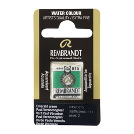 Rembrandt Aquarelle en Pastille Verde Paolo Veronés 615
