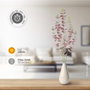 GSC Evolution Branche décorative LED feuilles d'eucalyptus roses 0,83 m lumière chaude