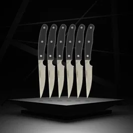 Nirosta - Lot de 6 couteaux à steak Nirosta Fit - 22 cm - Lame dentelée en acier inoxydable - Manche plastique confortable - Pour viande, légumes