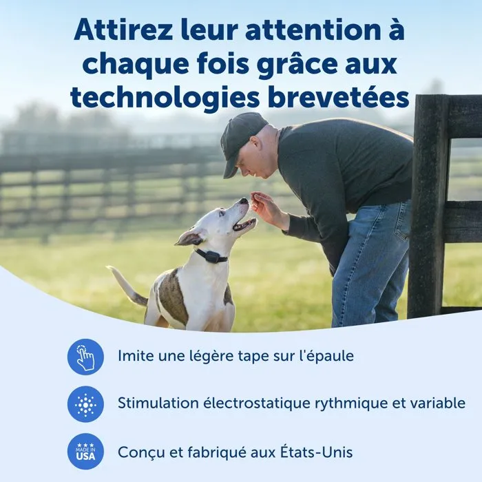 Petsafe Système d'aide à l'éducation canine Core - Portée 300 m