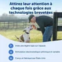 Petsafe Système d'aide à l'éducation canine Core - Portée 300 m