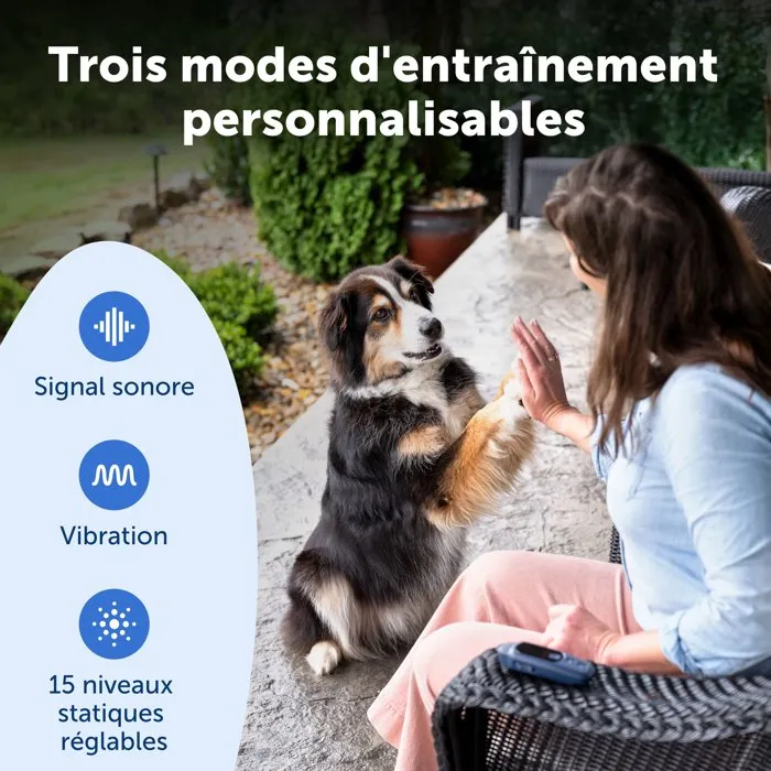 Petsafe Système d'aide à l'éducation canine Core - Portée 300 m