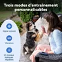 Petsafe Système d'aide à l'éducation canine Core - Portée 300 m