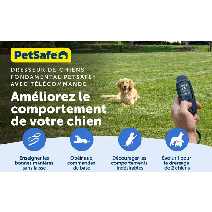 Petsafe Système d'aide à l'éducation canine Core - Portée 300 m