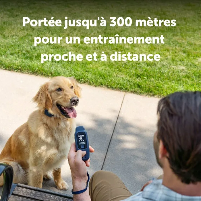 Petsafe Système d'aide à l'éducation canine Core - Portée 300 m