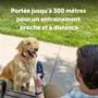 Petsafe Système d'aide à l'éducation canine Core - Portée 300 m