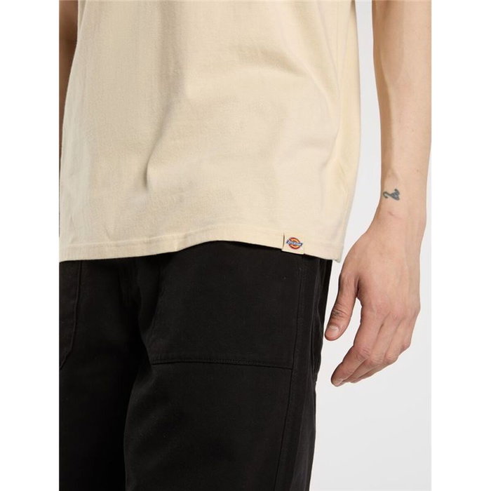 T-shirt à manches courtes homme Dickies Apison Ss Beige