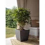 Eda Pot de fleurs Diva Basalt 42L, carré 43.5x43.5x44.2 cm, bac intérieur amovible, réservoir d'eau, design béton, gris anthracite