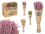 Giftdecor Ramillete Centeno Naturel Surtis Couleurs 10 x 40 x 10 cm (Set de 24)