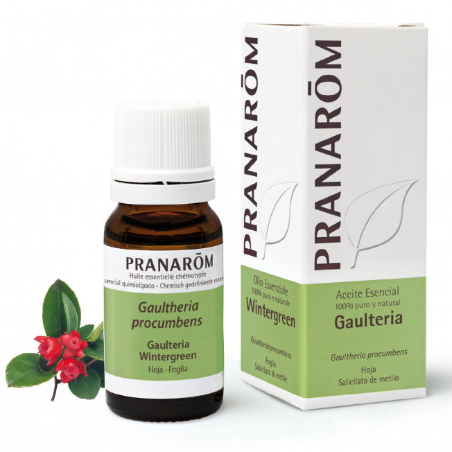 Pranarôm Huile Essentielle Gaulthérie 10 ml Pranarôm Huile Essentielle Gaulthérie 10 ml