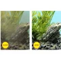Ciano Cartouches de Filtration de Rechange Taille M pour Aquarium - Pack de 5 Cartouches (3 Mois)
