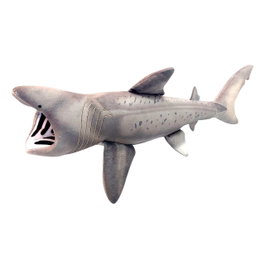 DEQUBE Peluche Requin Pèlerin Collecta