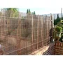 Nature Canisse NATURE en Osier Naturel 3x1 m - Occultation Décorative pour Jardin et Balcon - FSC®