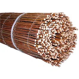 Nature Canisse NATURE en Osier Naturel 3x1 m - Occultation Décorative pour Jardin et Balcon - FSC®