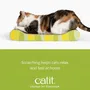 Catit Griffoir pour chat en carton ondulé motif zèbre vert, 49x22x75 cm