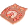 Kerbl Jeu de réflexion/apprentissage Owl - Saumon et marron - 30 x 28 cm