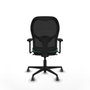 Piqueras y Crespo Chaise de Bureau Jorquera 3D036G0 Vert émeraude