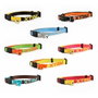 Nayeco Collier pour chat X-trm Neon Flash 10 mm x 22-33 cm, ajustable avec clochette, couleurs assorties