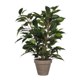 Mica Decorations Pot Ficus natasja Ø11,5 x 40 x 30 cm