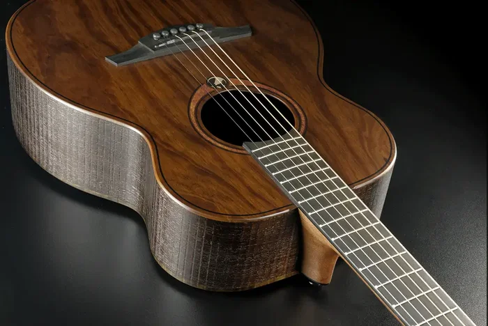 LAG Guitare Acoustique Travel Sauvage