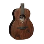 LAG Guitare Acoustique Travel Sauvage