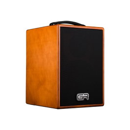 GR GUITAR Combo Acoustique en Bois 8" pour Guitare