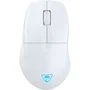 Turtle Beach Pure Air Souris Gaming Sans Fil Ultralégère Blanche