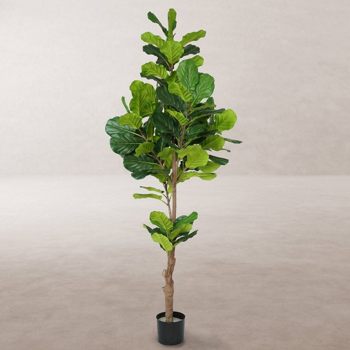 BigBuy Home Plante décorative Ficus 200 cm en Polyuréthane et Ciment BigBuy Home Plante décorative Ficus 200 cm en Polyuréthane et Ciment