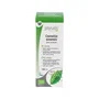 Physalis Extrait de Thé Vert (Camellia Sinensis) Bio 100 ml