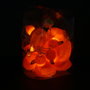 Home Deco Kids Guirlande Lumineuse Flamenco 10 LED