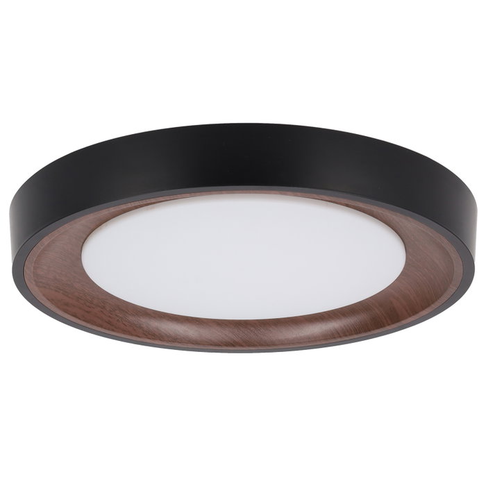 Plafonnier LED décoratif circulaire 30 W CCT 3 000-6 000 K avec télécommande, noir Plafonnier LED décoratif circulaire 30 W CCT 3 000-6 000 K avec télécommande, noir