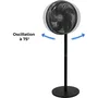 Oceanic Ventilateur sur pied 2 en 1 avec télécommande - 45W - Diamètre 40 cm - Hauteur réglable 69-120 cm - 3 vitesses et minuterie - Noir