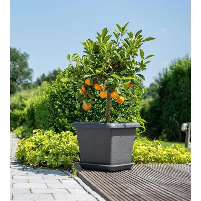 Garden Id Pot de fleurs carré Teramo noir-anthracite 40 x 35 cm - Résistant aux rayures, effet pierre, avec trous de drainage