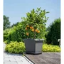 Garden Id Pot de fleurs carré Teramo noir-anthracite 40 x 35 cm - Résistant aux rayures, effet pierre, avec trous de drainage
