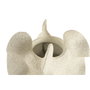 Home ESPRIT Vase Beige Résine Shabby Chic 26 x 26 x 50 cm