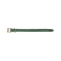 Collier pour Chien Trixie Pure Vert S-M 31-37 cm