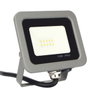 Silver Projecteur LED IPS65 10W 5700K 800lm Blanc Froid Étanche Extérieur