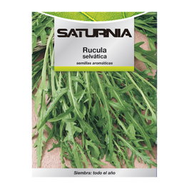 SATURNIA Semillas Aromaticas Rucula Selvatica (2.5 gramos)