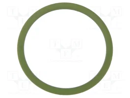 LAPP Joint O-ring FKM M25 Vert