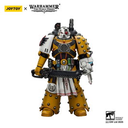 Joy Toy (CN) Warhammer 40,000: Imperial Fists Legion Apothecary 12 cm