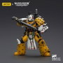 Warhammer 40,000: imperial Fists figurine Legion Apothecary 12 cm